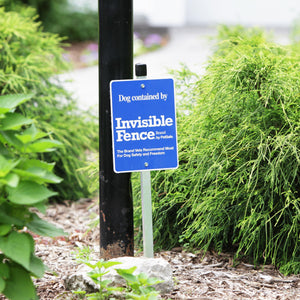 An image of an invisible fence.