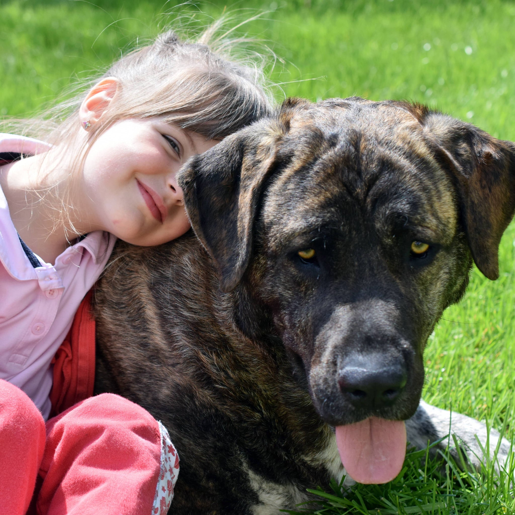 Kids and Dogs, an Influential Combination