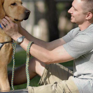 A person saving a dog's life.