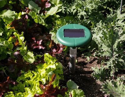 Solar SafeGuard™ – 3-Pack