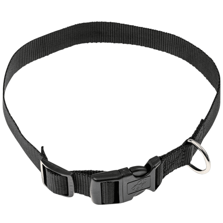 BarkWise replacement nylon collar strap – spare accessory for BarkWise no-shock bark control collar